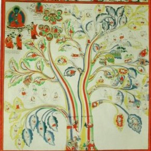 El árbol de la Salud y la Enfermedad